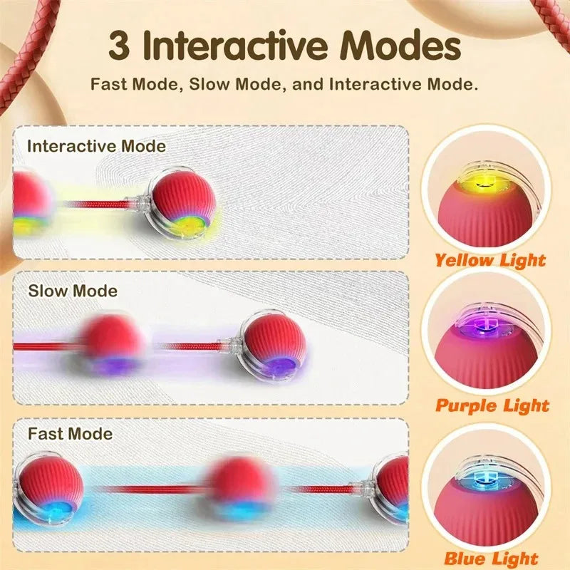 Smart Rolling Dog Ball - Rechargeable Interactive Toy
