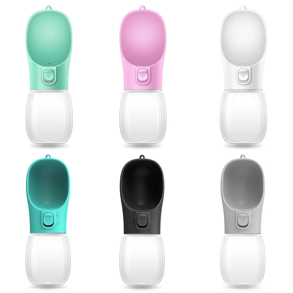 Leakproof Travel Water Bottle