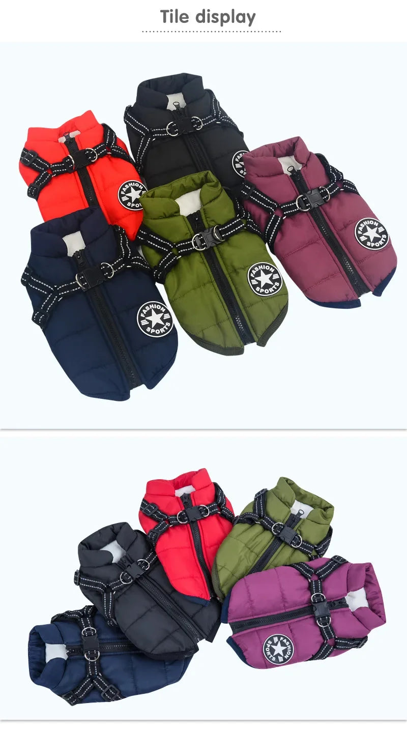 All-Weather Dog Jacket with Built-In Harness