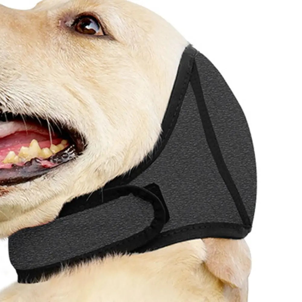 Calming Dog Ear Muffs