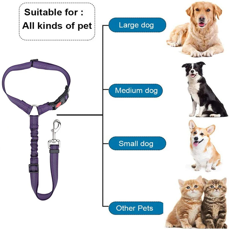 2-in-1 Dog Leash & Car Seat Belt Tether