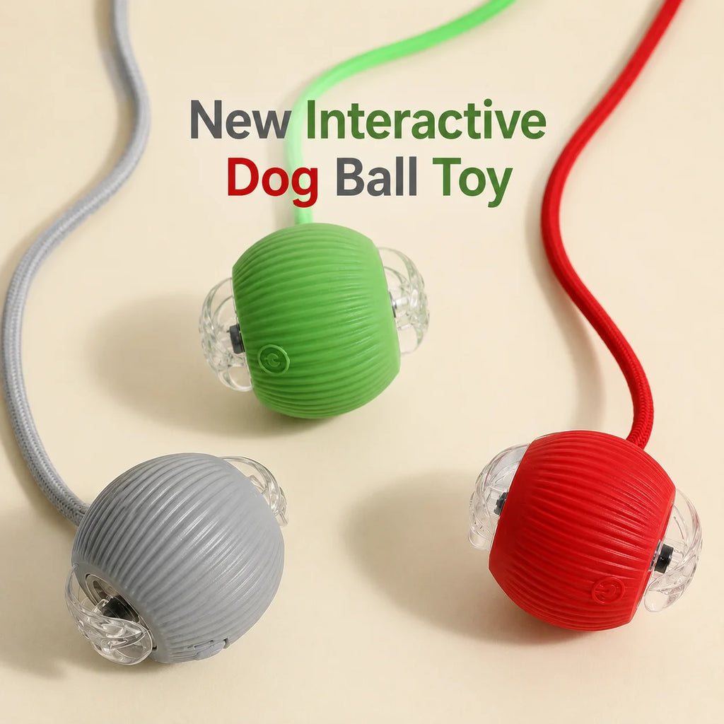Smart Rolling Dog Ball - Rechargeable Interactive Toy