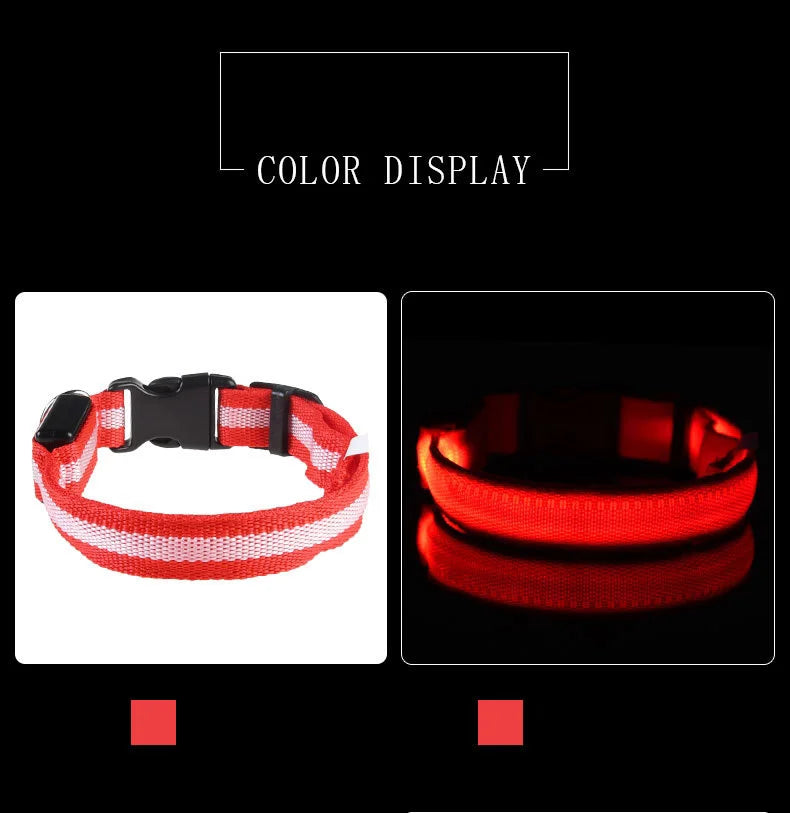 LED Night Safety Dog Collar