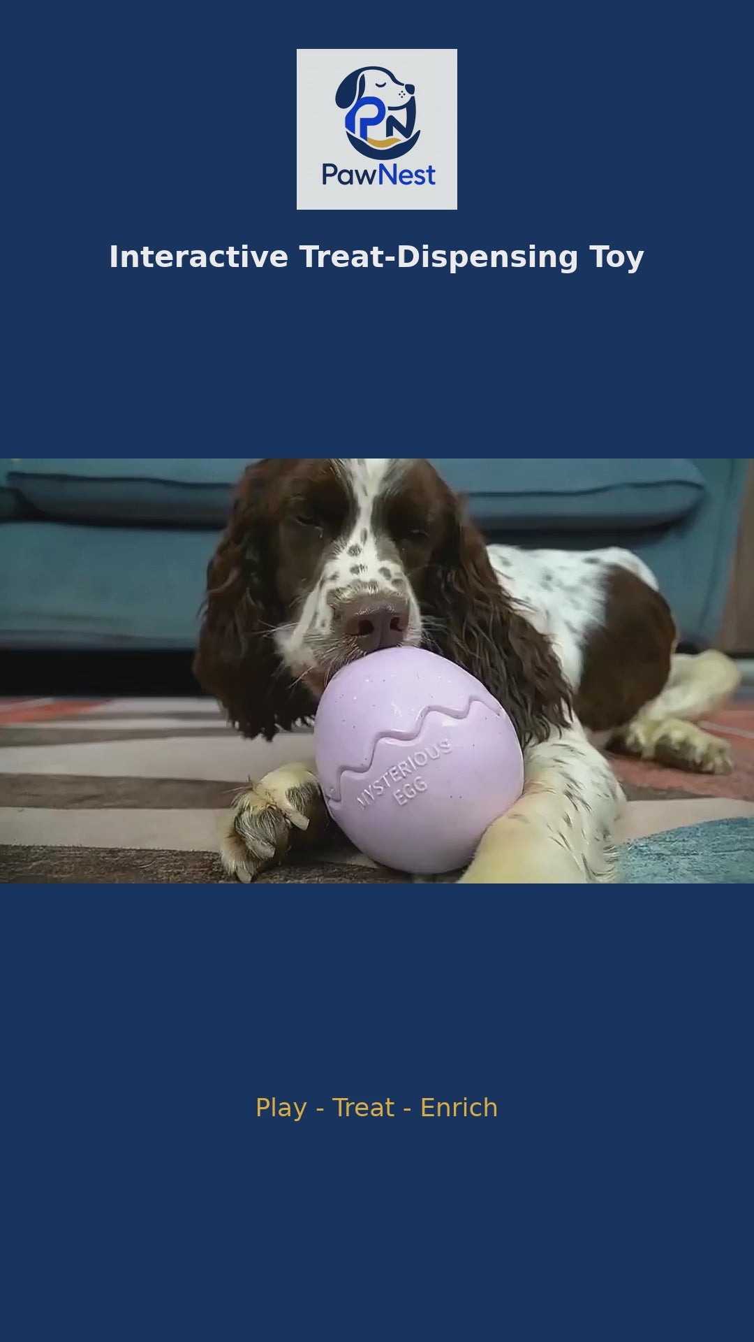 Dinosaur Egg Interactive Dog Treat Dispenser Toy