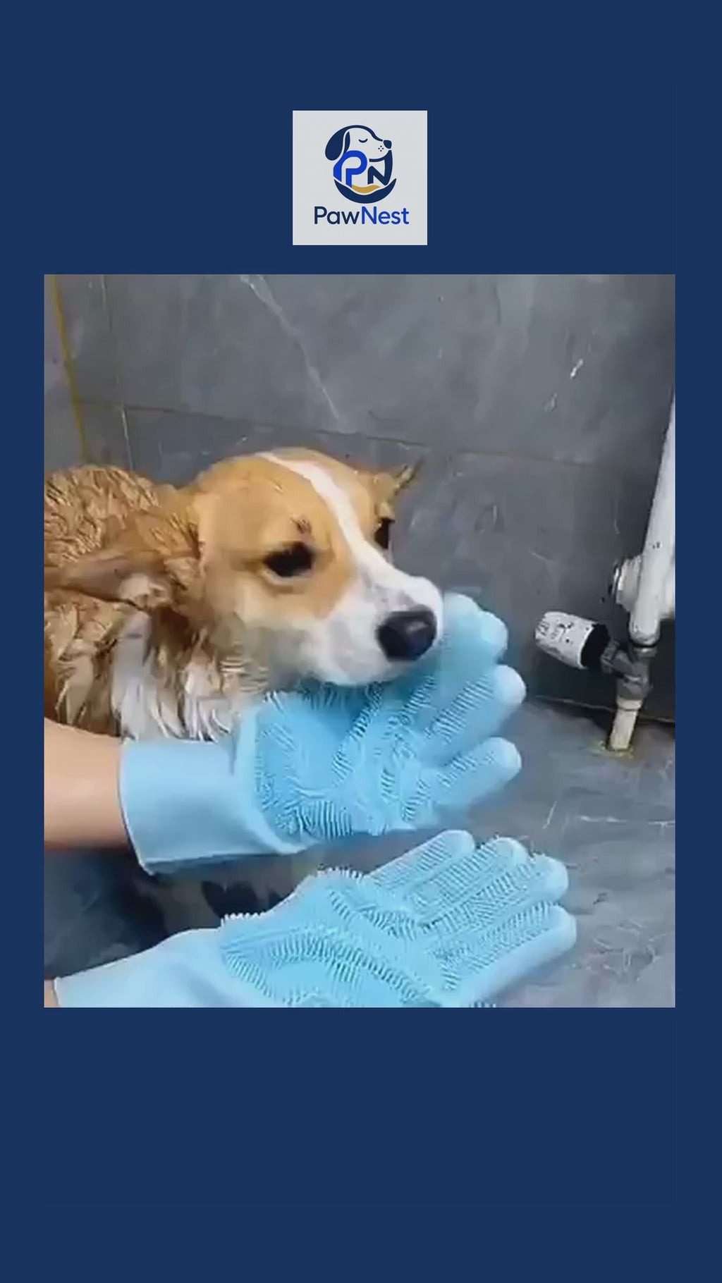 Silicone Dog Grooming & Bath Glove
