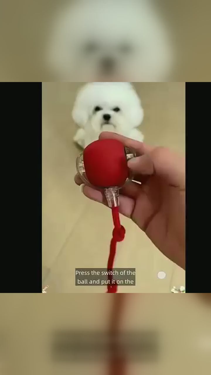 Smart Rolling Dog Ball - Rechargeable Interactive Toy