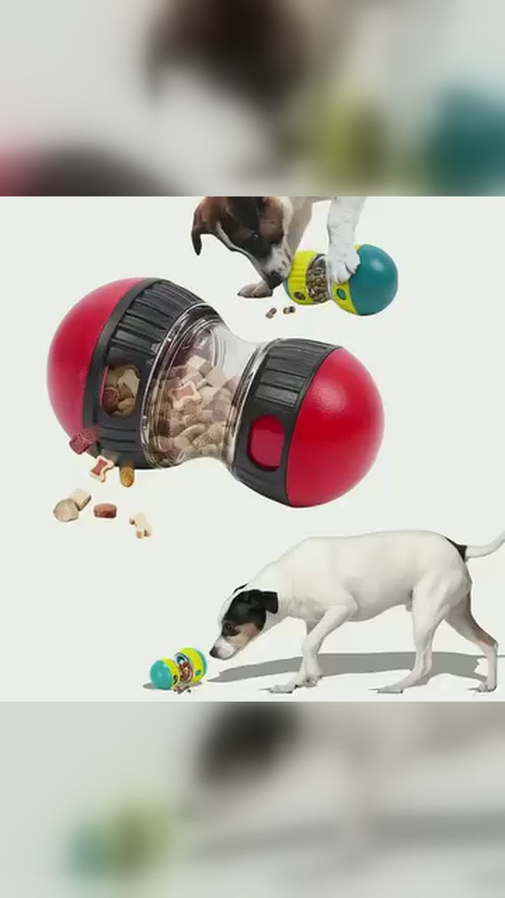 IQ Treat Dispenser Ball