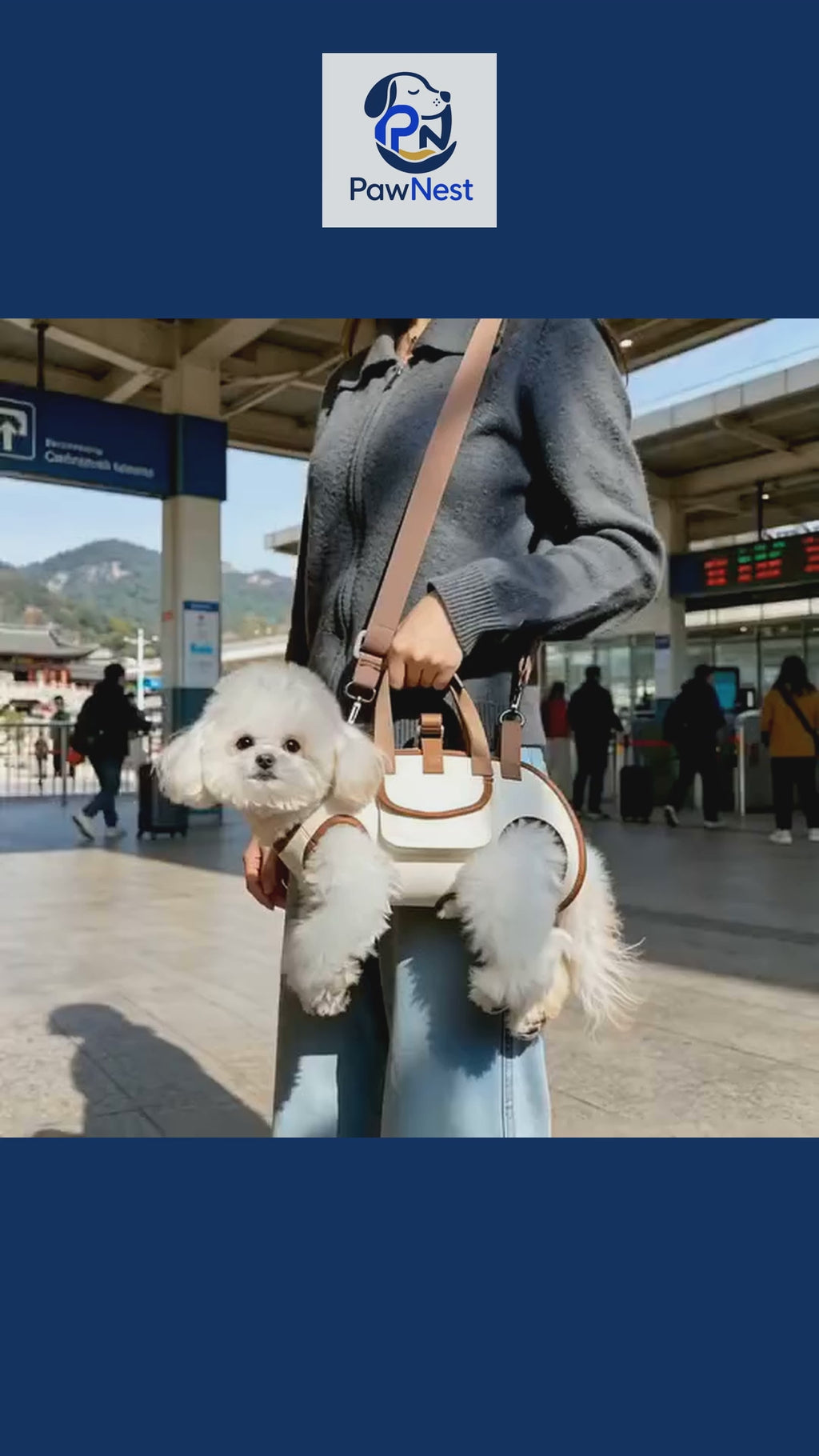 3-in-1 Breathable Dog Carrier Bag