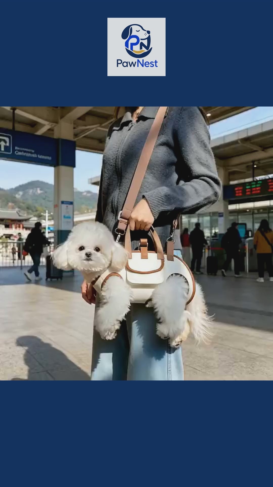 3-in-1 Breathable Dog Carrier Bag